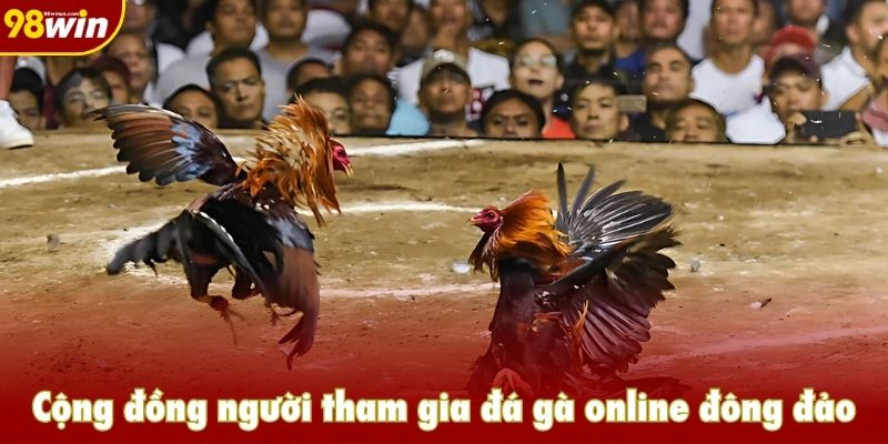 Cộng đồng người tham gia đá gà online đông đảo