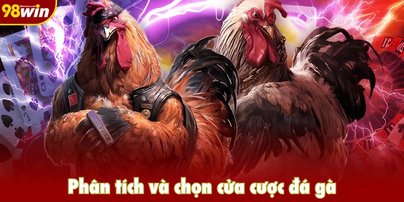 Phân tích và chọn cửa cược đá gà