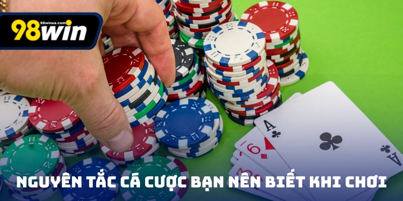 Các nguyên tắc cá cược bạn nên biết khi chơi